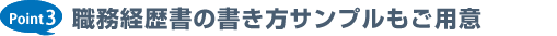 Point3 職務経歴書の書き方サンプルもご用意